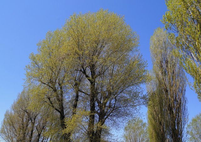 a0345007_16173406.jpg