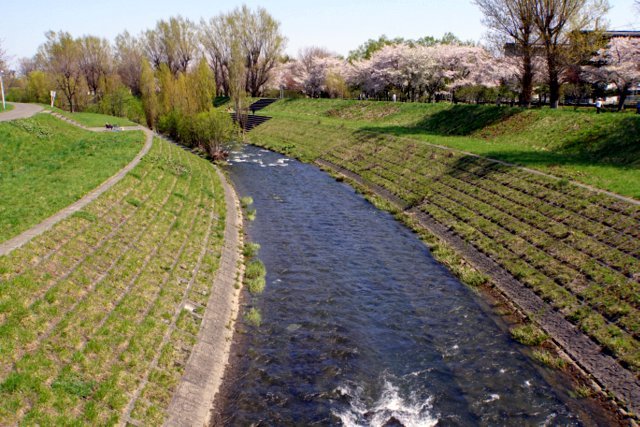 2019年5月4日(土）琴似発寒川畔の花散歩_a0345007_16282533.jpg