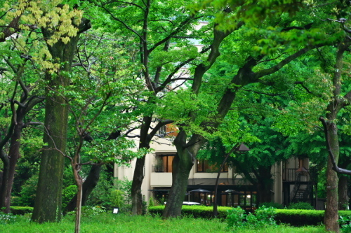 a0263109_20374410.jpg