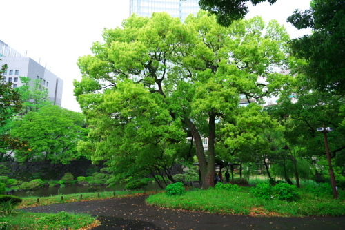 a0263109_20374628.jpg