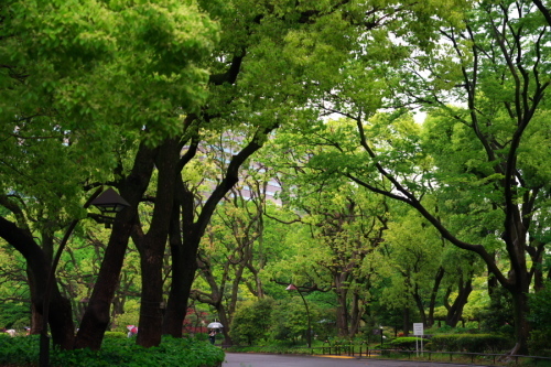 a0263109_20413560.jpg