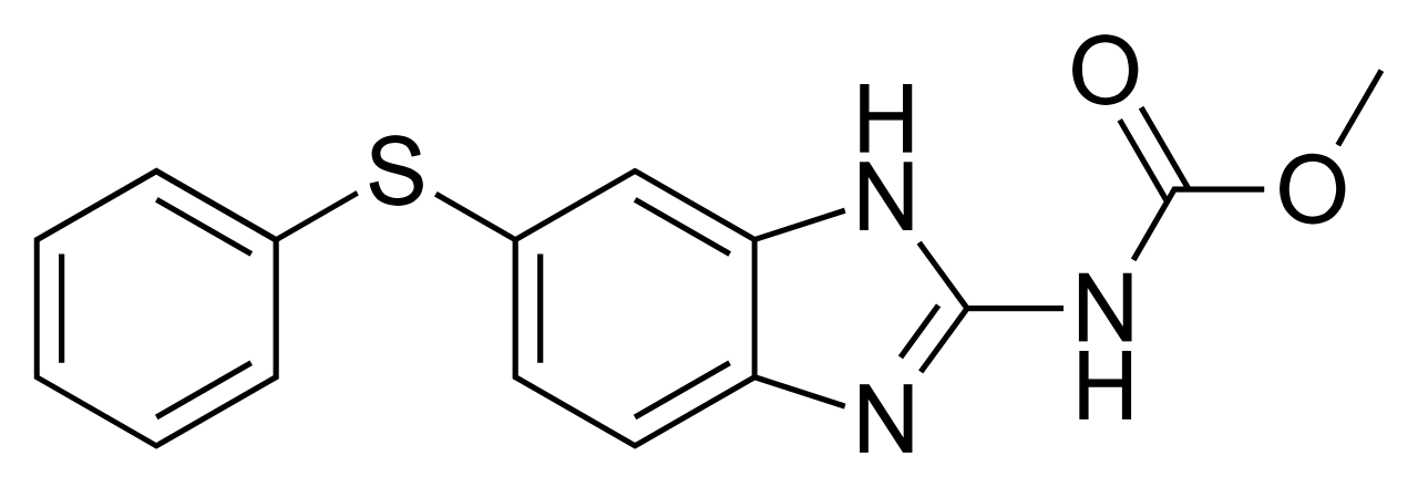 a0348309_11334247.png