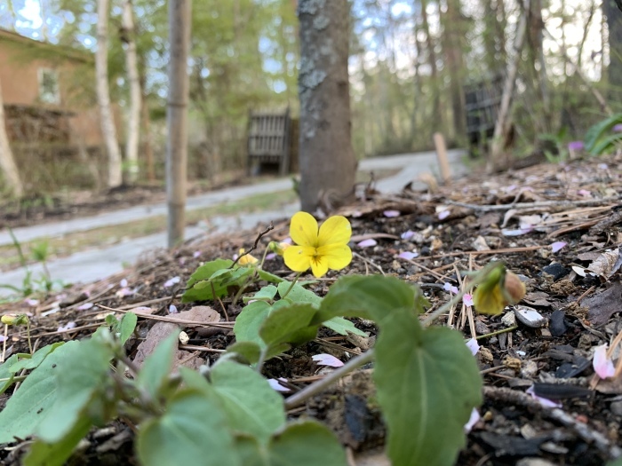 c0301809_20234442.jpeg