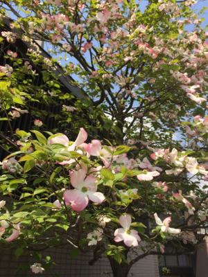 b0151911_09301528.jpg