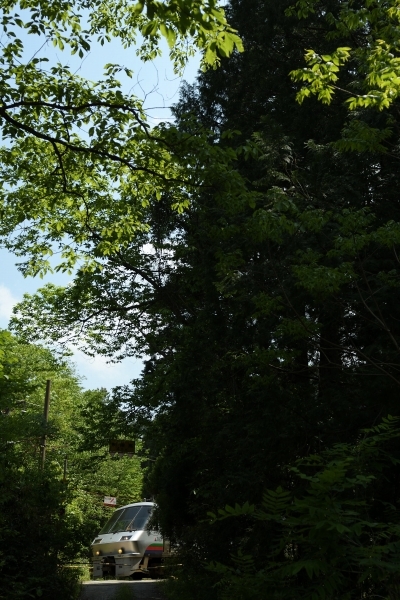 5月2日分_e0005714_23263814.jpg