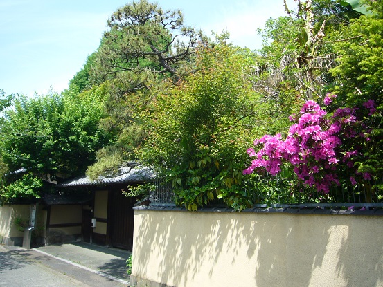 神田川沿いの遊歩道 Arekore 神田川沿いの遊歩道 Arekore