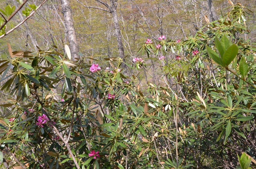 e0349817_21225267.jpg