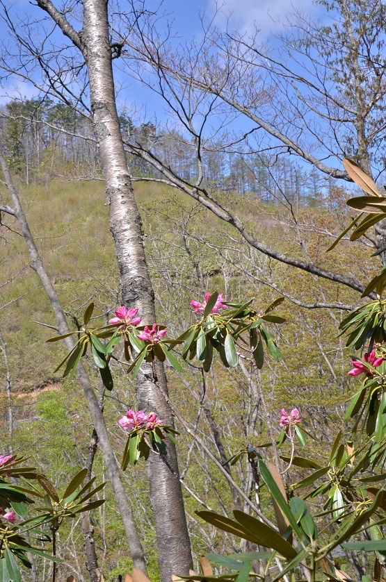 e0349817_21232571.jpg