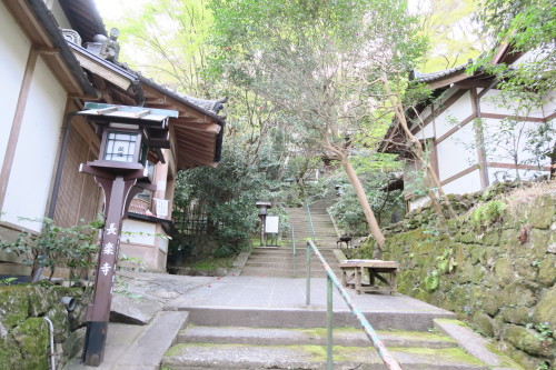 京都の春 東山 宿坊 遊行庵 長楽寺のおつとめ 建仁寺 平安神宮 ｙａｓｕ1928 つぶやきブログ