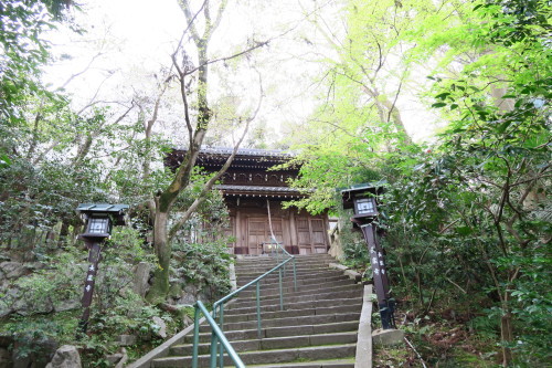 京都の春 東山 宿坊 遊行庵 長楽寺のおつとめ 建仁寺 平安神宮 ｙａｓｕ1928 つぶやきブログ
