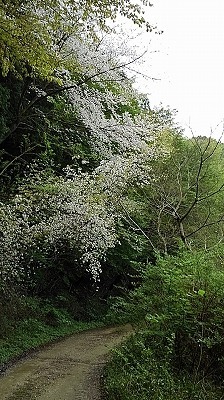 a0172222_11300511.jpg