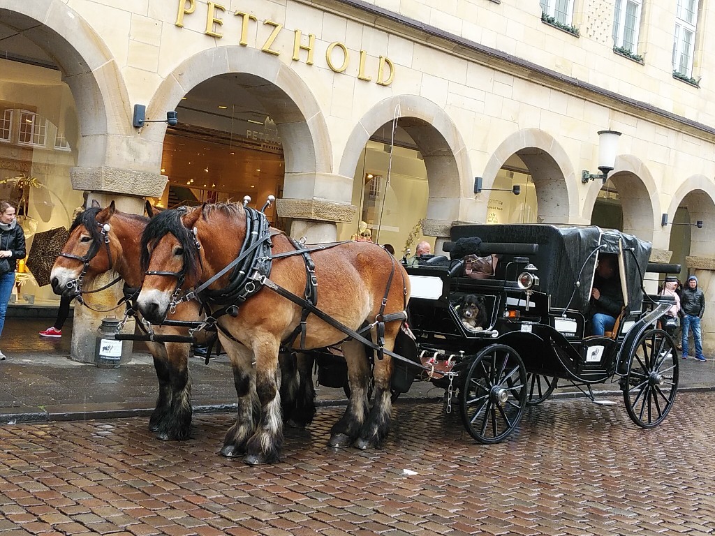 ドイツの旅~番外編_c0173826_04405322.jpg