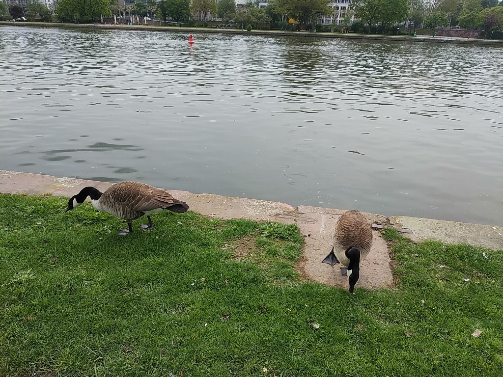 ドイツの旅~番外編_c0173826_05042954.jpg