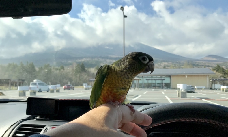 まゝに/暫定 朝霧高原と日暈_d0342426_16032287.jpeg