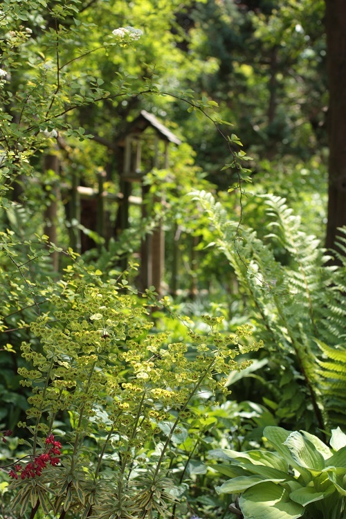 b0368629_17352787.jpg