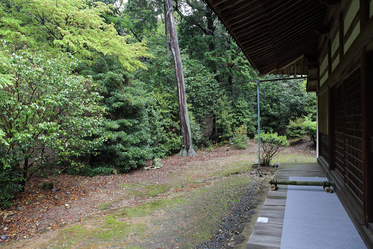 b0169330_182121100.jpg