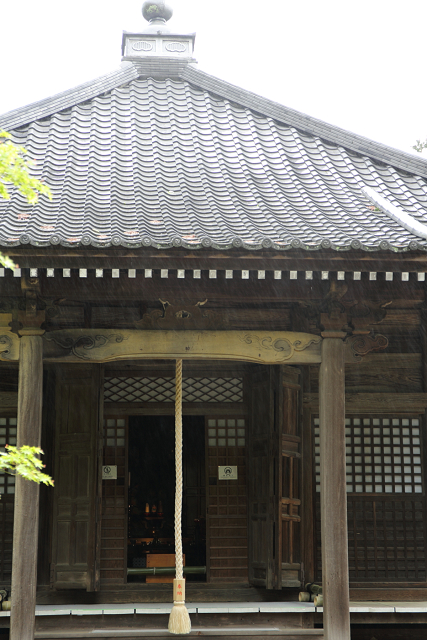 b0169330_18491223.jpg
