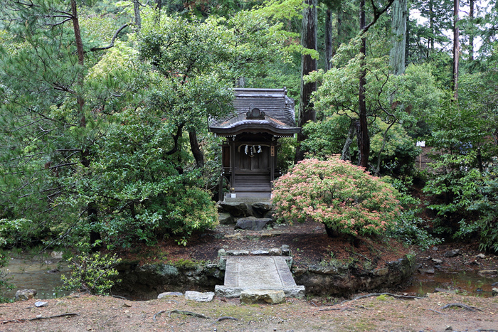 b0169330_18491782.jpg