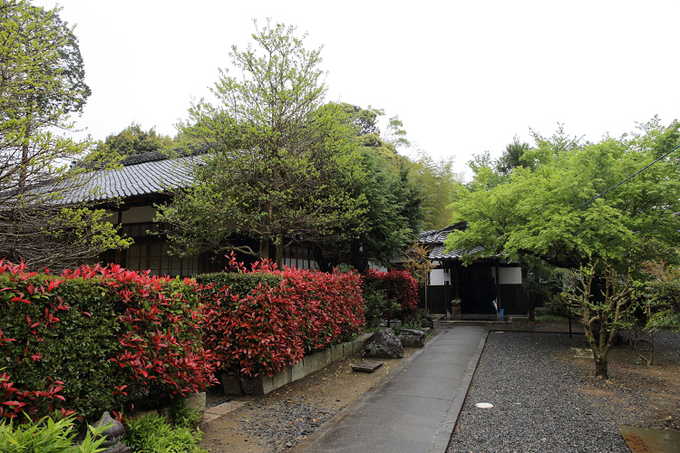 b0169330_18492873.jpg