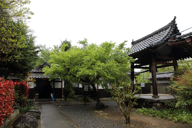 b0169330_20364670.jpg