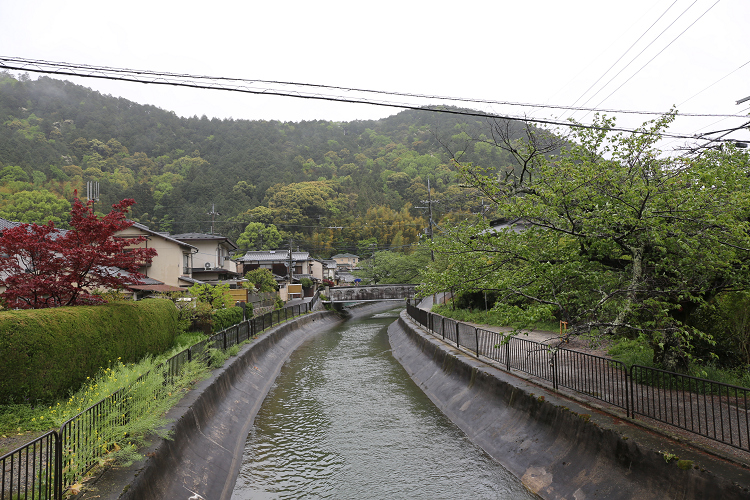 b0169330_2037954.jpg
