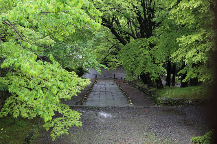 b0169330_238176.jpg