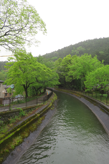 b0169330_824254.jpg