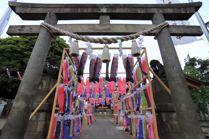 【白山神社】_f0348831_11162029.jpg