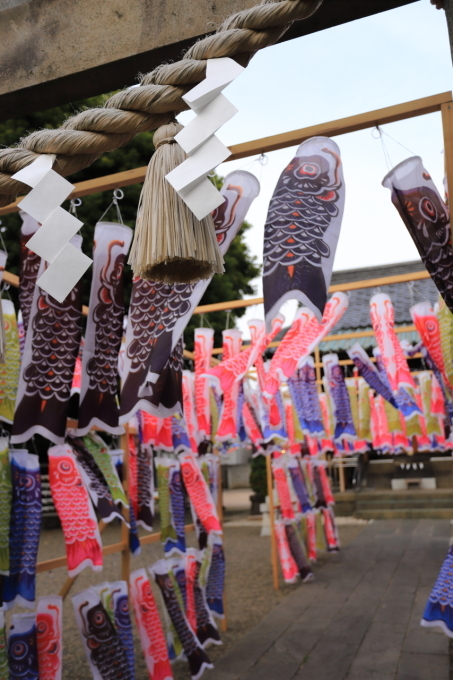 【白山神社】_f0348831_11162458.jpg