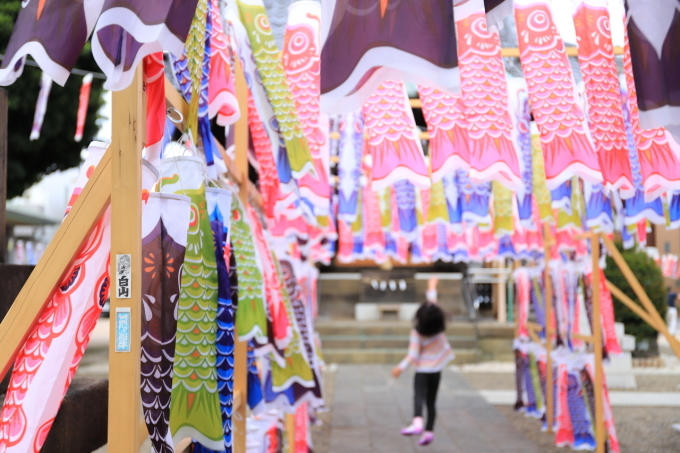 【白山神社】_f0348831_11163712.jpg