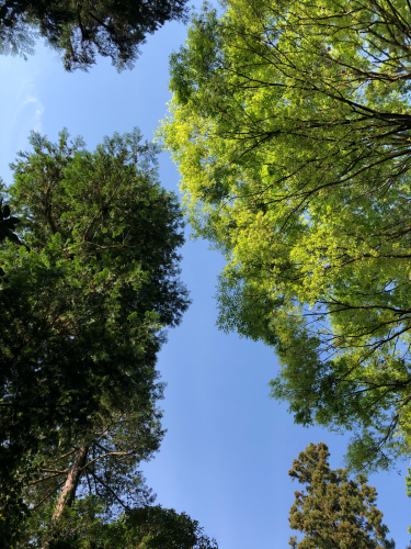 f0327534_07331044.jpg