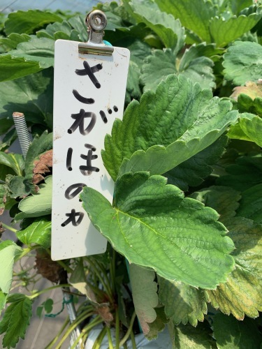 長い1日 Part1_e0071035_18523963.jpeg