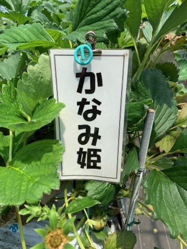 長い1日 Part1_e0071035_18524032.jpeg