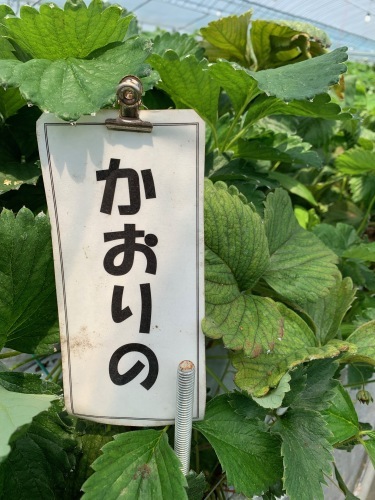 長い1日 Part1_e0071035_18554851.jpeg