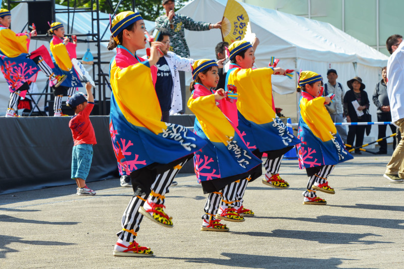 四国の祭り 2019 よさこいとらっく (ちふれ)_d0246136_23063210.jpg