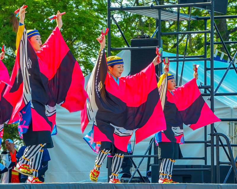 四国の祭り 2019 よさこいとらっく (ちふれ)_d0246136_23065794.jpg