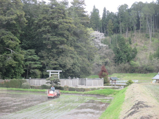 田植え作業のようす。_c0245138_20320848.jpg