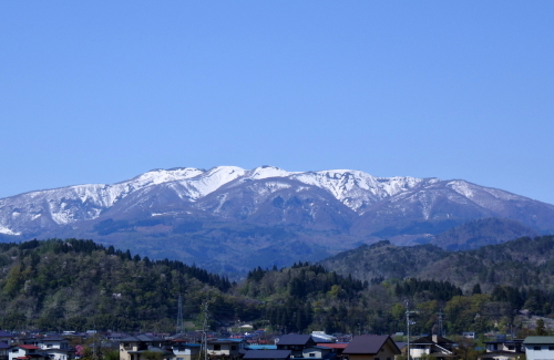 b0075140_12012249.jpg