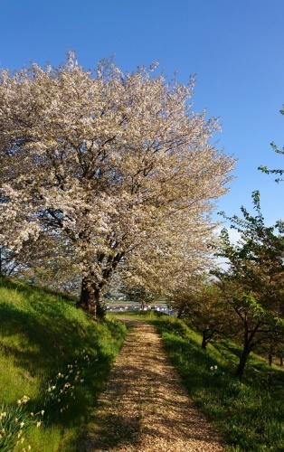 b0075140_12025322.jpg