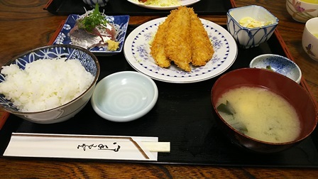 Gw犬連れ車中泊の旅 小田原漁港で朝食編 柴犬 はなとわ日記