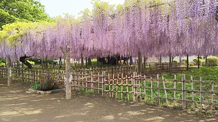 b0080342_22260040.jpg