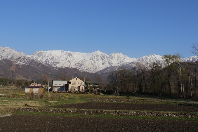 a0124543_17065325.jpg