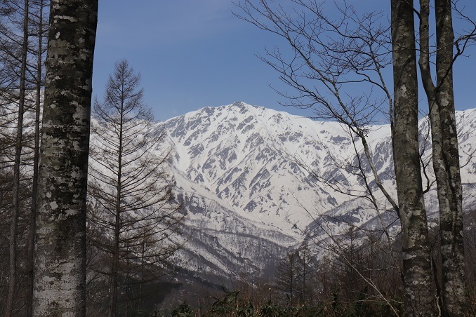 a0124543_17192844.jpg