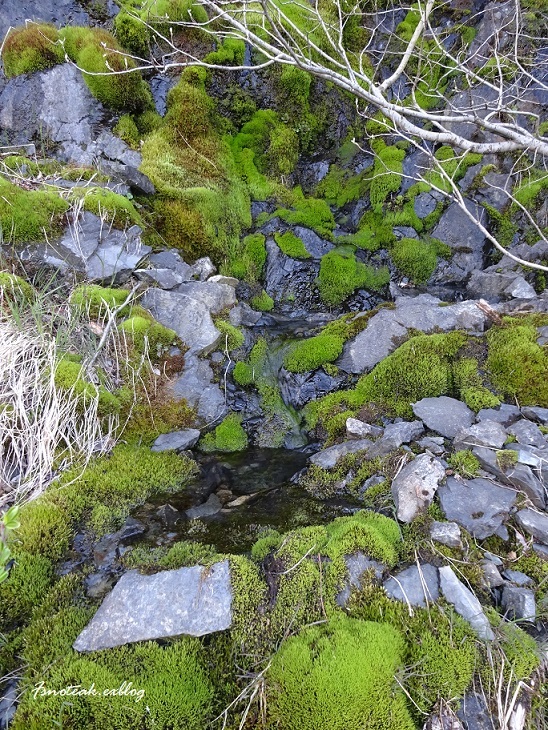 d0356844_13123234.jpg