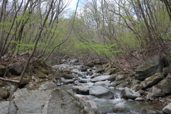 e0202845_14553563.jpg