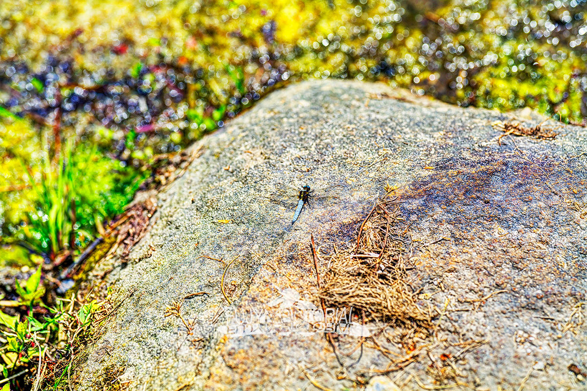 織部の里公園_b0135347_23421638.jpg