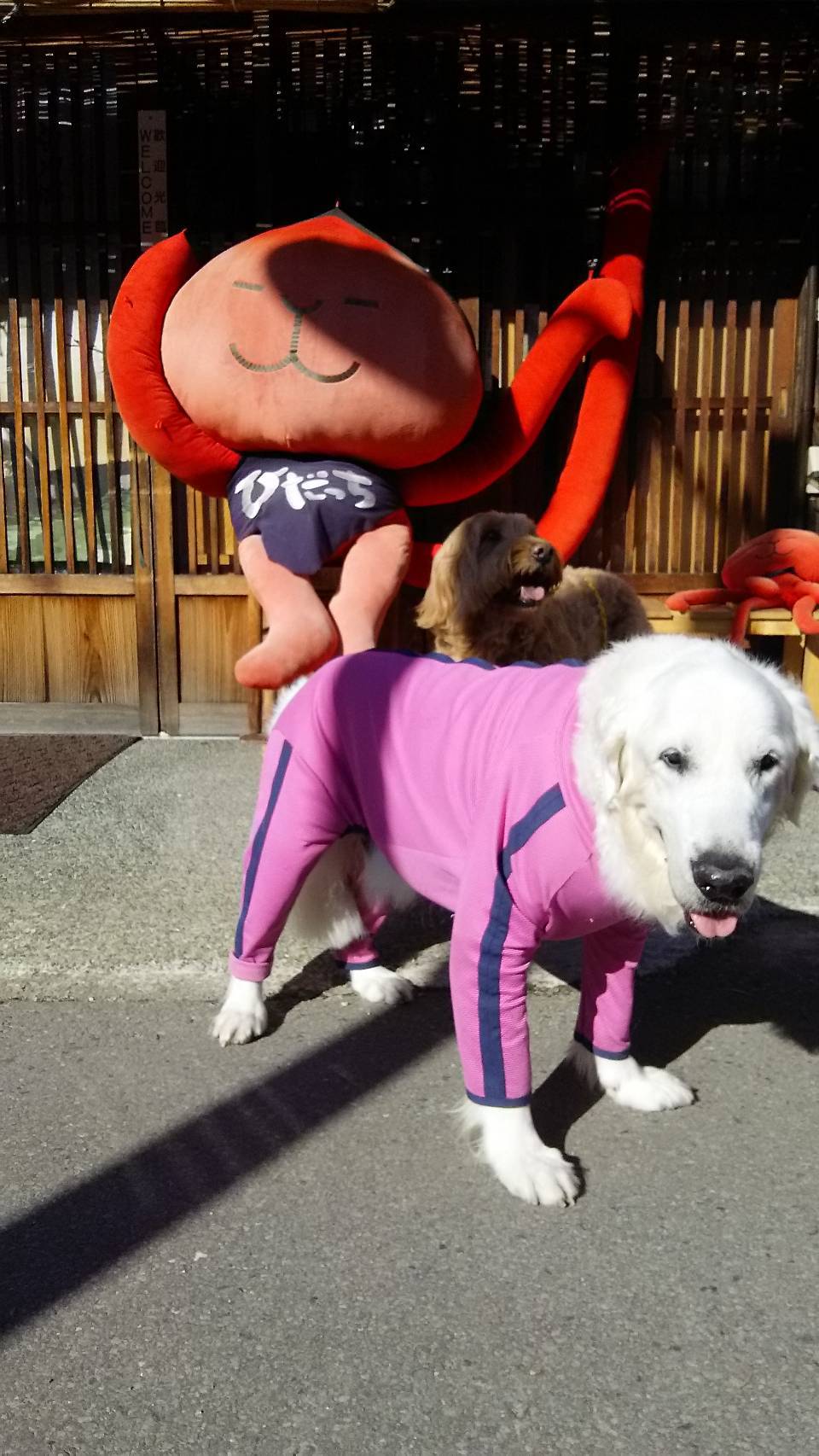 a0264649_15480348.jpeg