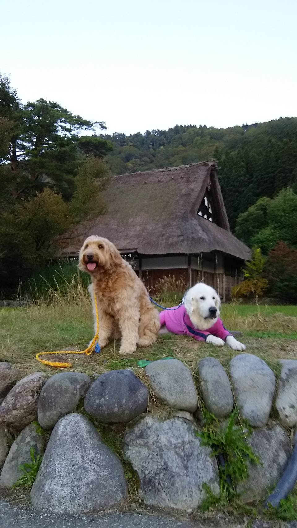 a0264649_15481317.jpeg