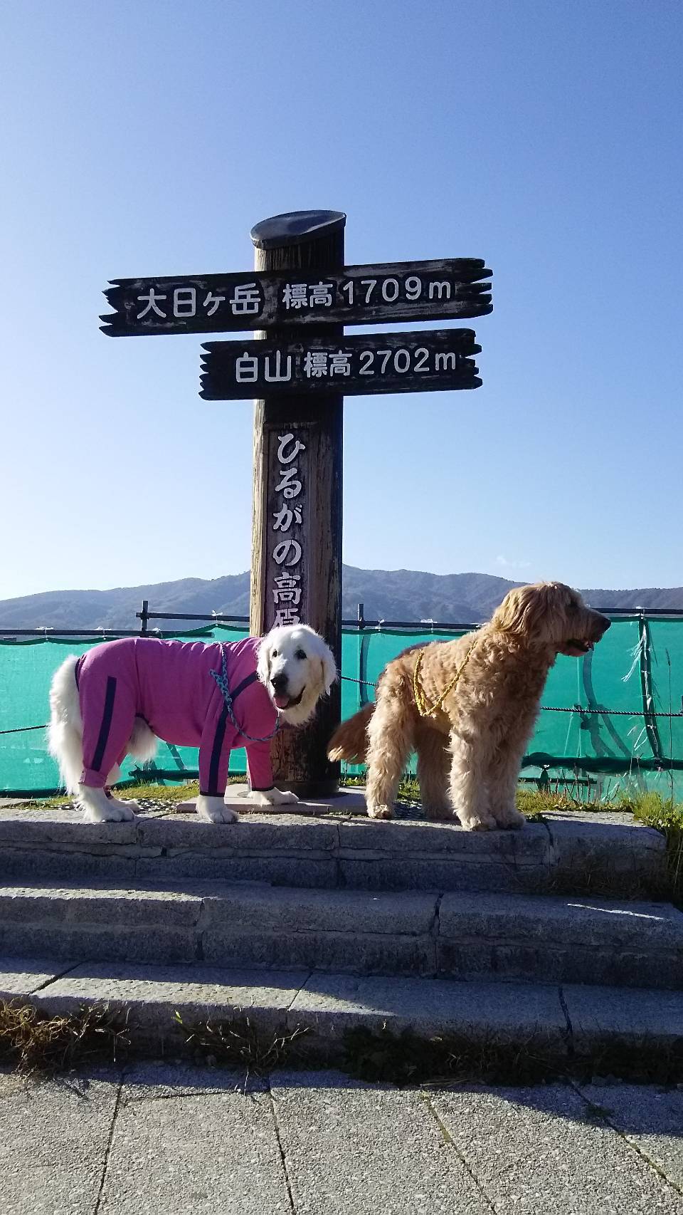 a0264649_15482431.jpeg