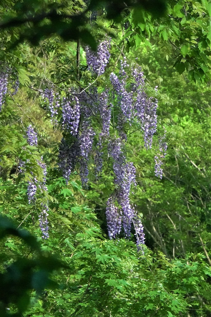 b0236251_11234983.jpg